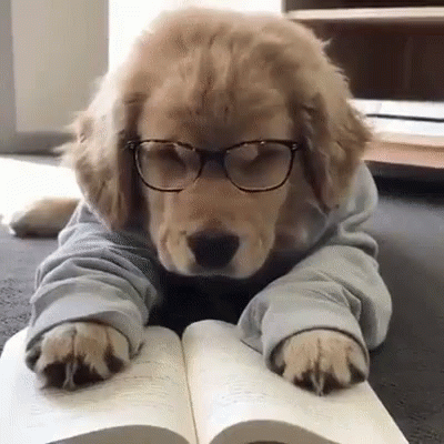 DOG READING