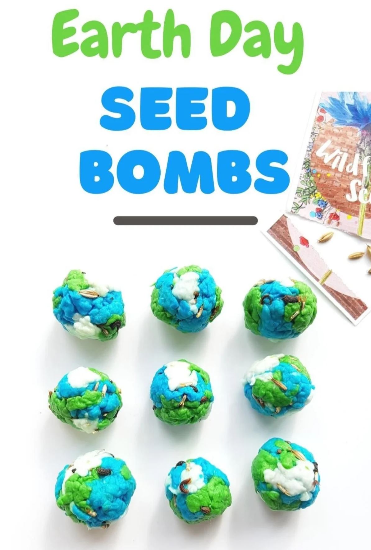 earth day seed bombs