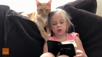 READ TO A CAT