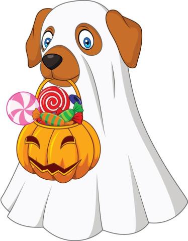 Halloween dog