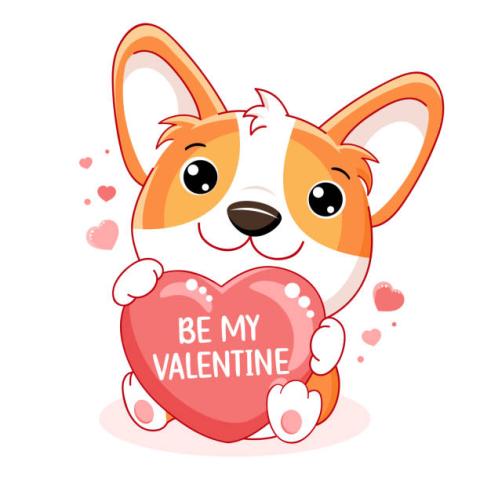 VALENTINE'S DOG