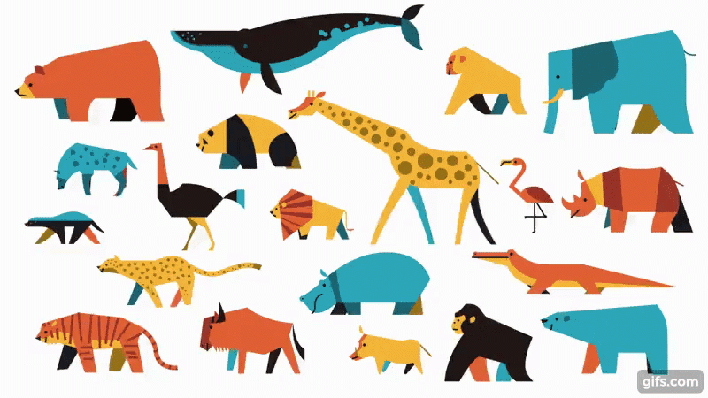 WILD ANIMALS